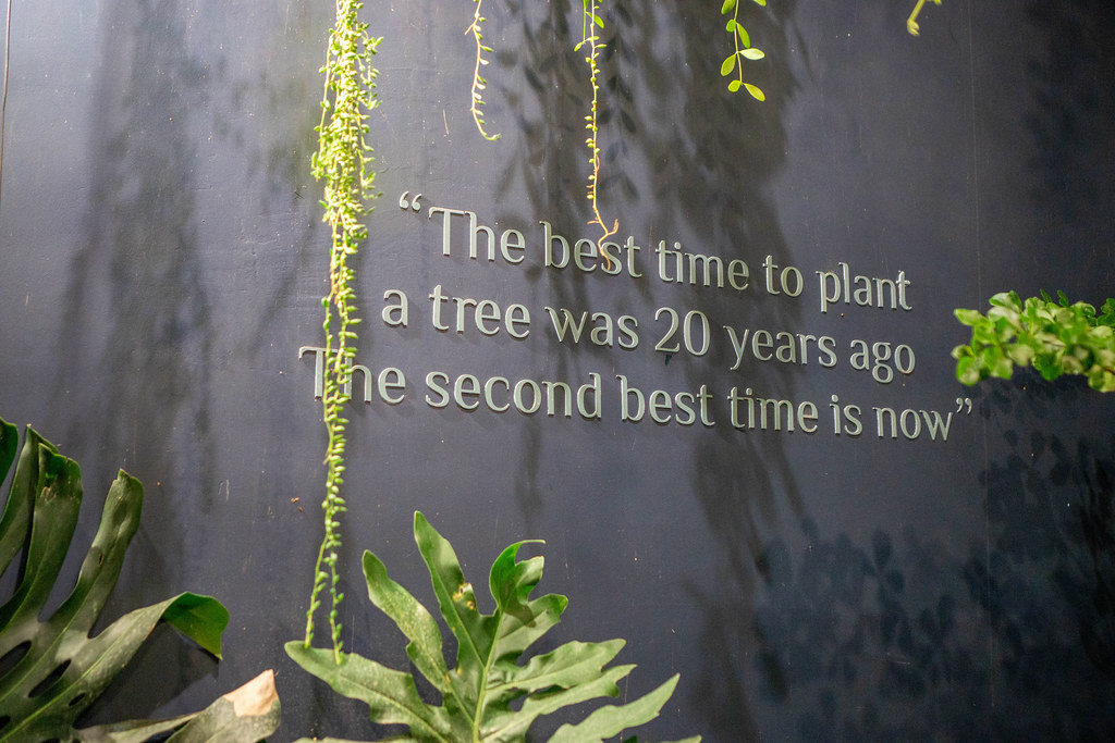 Chinese proverb 'The best time to plant a tree was 20 years ago. The second best time is now'